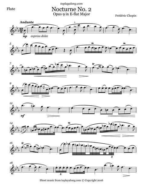  Chopin For Flute Solo by Reza Najfar